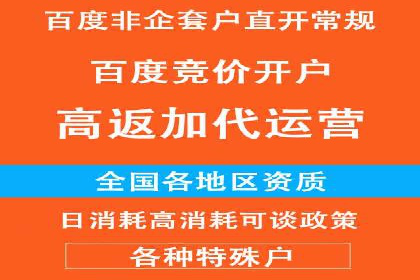 高返点充值：揭秘热门平台的运营策略